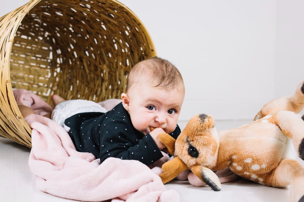 ¿En qué consiste las fotografías newborn?