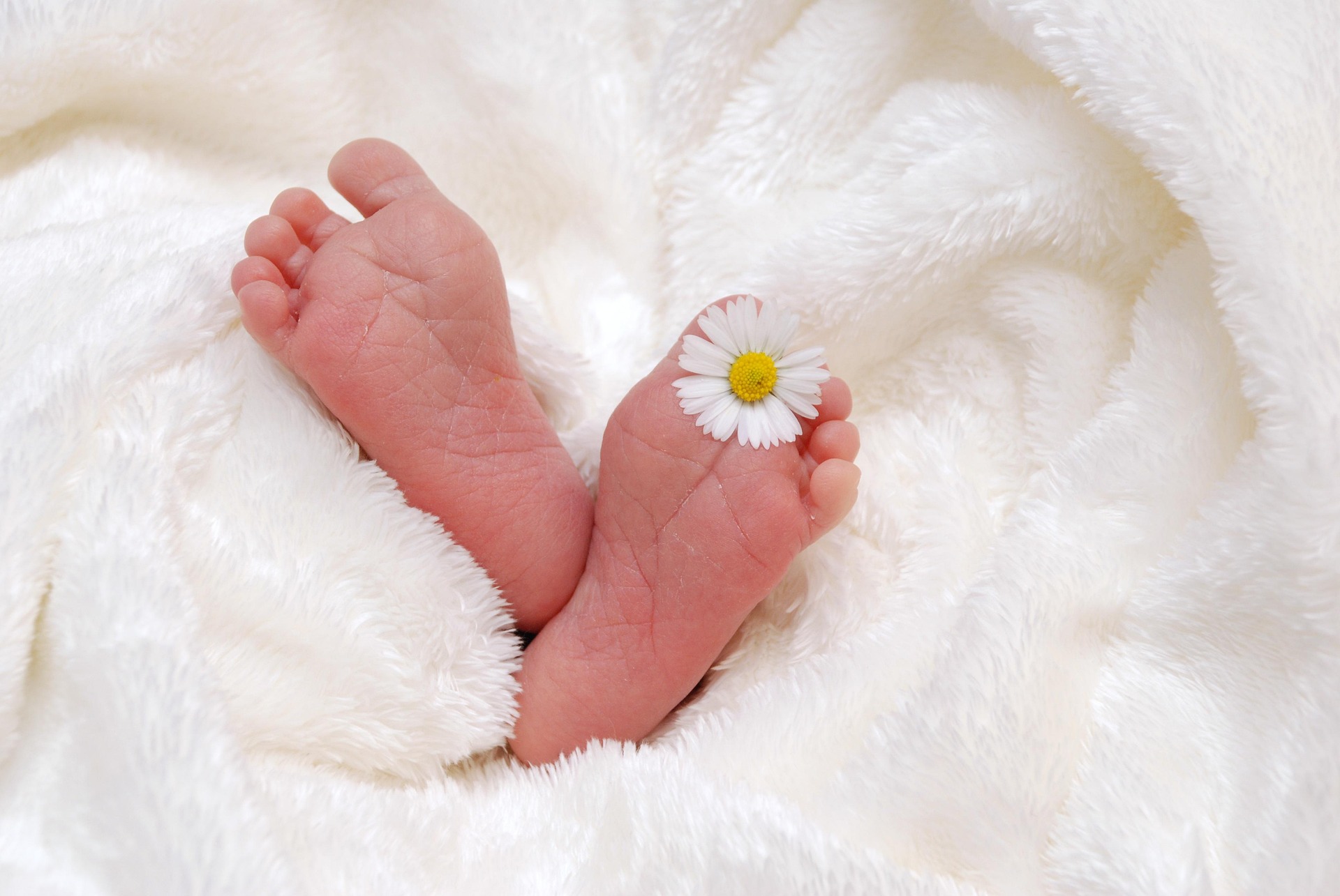 ¿En qué consiste las fotografías newborn?